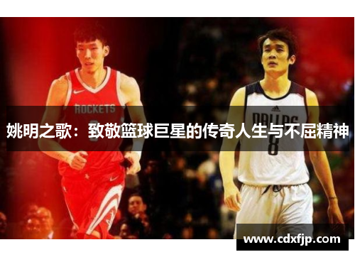 姚明之歌：致敬篮球巨星的传奇人生与不屈精神