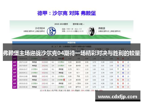 弗赖堡主场迎战沙尔克04期待一场精彩对决与胜利的较量